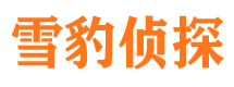 日土市场调查